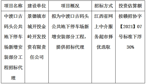 中渡口古碼頭公共地下停車場新增安裝部分工程招標(biāo)代理計劃公告