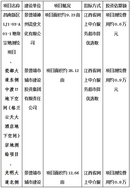 景德鎮(zhèn)市昌南新區(qū)LJ1-03-A01-1地塊、瓷都大道東側中渡口地下空間（格蘭云天大酒店地下空間）、光明大道北側利民路西側地下空間（青少年宮地下空間）、規(guī)劃二路北側地下空間地塊二（加速基地地下空間）、規(guī)劃二路北側地下空間地塊一（加速基地地下空間）、景德大道南側天寶橋西側地塊、景興大道東側如意路北側地下空間(社會公共服務