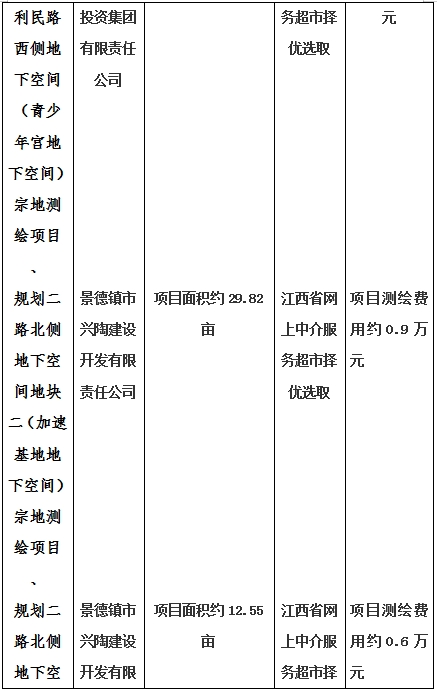 景德鎮(zhèn)市昌南新區(qū)LJ1-03-A01-1地塊、瓷都大道東側中渡口地下空間（格蘭云天大酒店地下空間）、光明大道北側利民路西側地下空間（青少年宮地下空間）、規(guī)劃二路北側地下空間地塊二（加速基地地下空間）、規(guī)劃二路北側地下空間地塊一（加速基地地下空間）、景德大道南側天寶橋西側地塊、景興大道東側如意路北側地下空間(社會公共服務