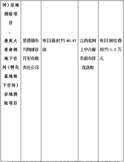 景德鎮(zhèn)市昌南新區(qū)LJ1-03-A01-1地塊、瓷都大道東側中渡口地下空間（格蘭云天大酒店地下空間）、光明大道北側利民路西側地下空間（青少年宮地下空間）、規(guī)劃二路北側地下空間地塊二（加速基地地下空間）、規(guī)劃二路北側地下空間地塊一（加速基地地下空間）、景德大道南側天寶橋西側地塊、景興大道東側如意路北側地下空間(社會公共服務